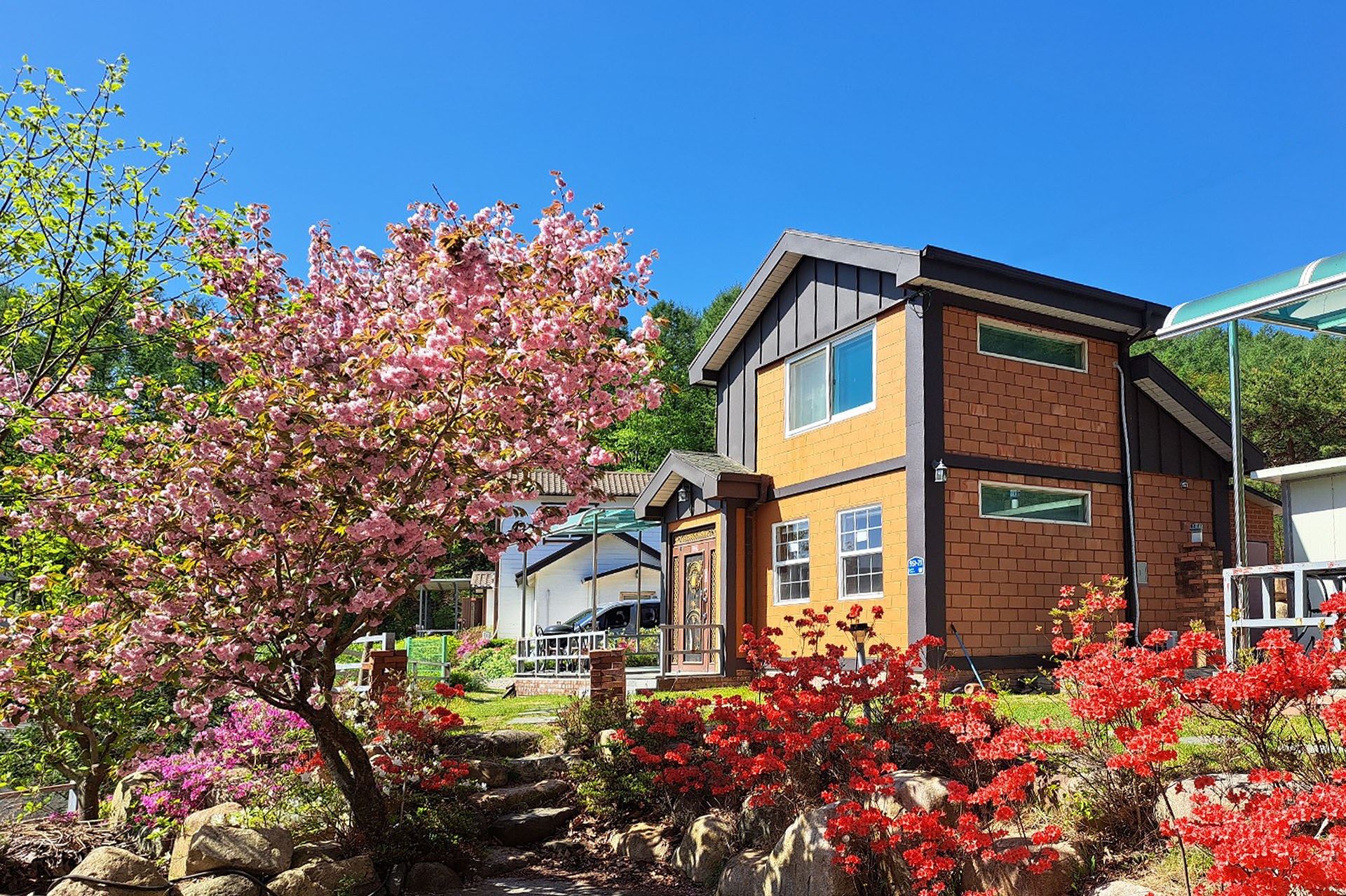 Latest Products Image